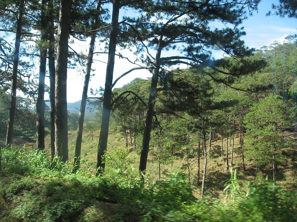 Dalat, Lam Dong - Go Asia Travel